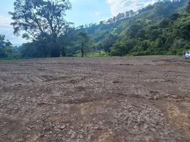  Land for sale in Dosquebradas, Risaralda, Dosquebradas