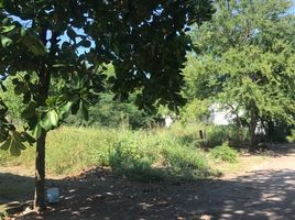  Grundstück zu verkaufen in Manzanillo, Colima, Manzanillo