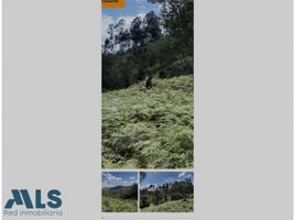  Land for sale in Rionegro, Antioquia, Rionegro