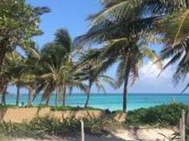  Terreno (Parcela) en venta en Cozumel, Quintana Roo, Cozumel, Quintana Roo