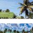  Terreno (Parcela) en venta en Cozumel, Quintana Roo, Cozumel, Quintana Roo