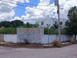  Grundstück zu vermieten in Merida, Yucatan, Merida, Yucatan