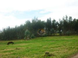  Terreno (Parcela) en venta en Sayausi, Cuenca, Sayausi