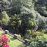 5 Schlafzimmer Villa zu verkaufen in Valle De Bravo, Mexico, Valle De Bravo, Mexico