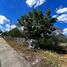  Land for sale in Kinchil, Yucatan, Kinchil