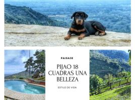 7 Habitación Villa en venta en Pijao, Quindio, Pijao