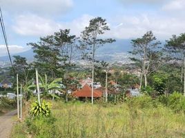  Land for sale in Malang Regency, East Jawa, Karangploso, Malang Regency