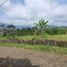  Land for sale in Malang Regency, East Jawa, Karangploso, Malang Regency