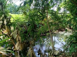  Grundstück zu verkaufen in Mataram, West Nusa Tenggara, Ampenan, Mataram