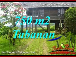  Terrain for sale in Baturiti, Tabanan, Baturiti