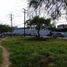  Grundstück zu vermieten in Reynosa, Tamaulipas, Reynosa
