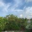 Terrain à vendre à Isla Mujeres, Quintana Roo, Isla Mujeres