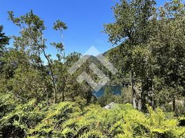  Terreno (Parcela) en venta en Los Ríos, Panguipulli, Valdivia, Los Ríos