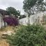 Studio House for rent in Santiago, Santiago, Santiago, Santiago