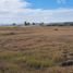  Land for sale in Alvaro Obregon, Michoacan, Alvaro Obregon
