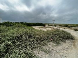  Land for sale in Jose Luis Tamayo Muey, Salinas, Jose Luis Tamayo Muey