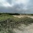  Land for sale in Jose Luis Tamayo Muey, Santa Elena, Jose Luis Tamayo Muey, Salinas