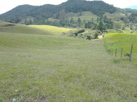  Grundstück zu verkaufen in Rionegro, Antioquia, Rionegro