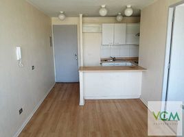 1 Bedroom Condo for rent in Chile, Santiago, Santiago, Santiago, Chile