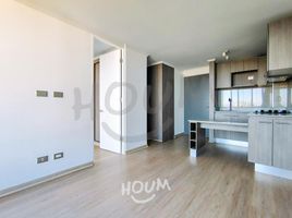 1 Bedroom Condo for rent in San Jode De Maipo, Cordillera, San Jode De Maipo