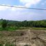  Land for sale in Nganjuk, East Jawa, Tanjunganom, Nganjuk