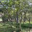  Land for sale in Guayaquil, Guayas, Guayaquil, Guayaquil, Guayas