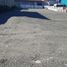  Land for sale in Chile, Mariquina, Valdivia, Los Rios, Chile