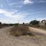  Terreno (Parcela) en venta en Irapuato, Guanajuato, Irapuato
