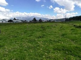  Grundstück zu verkaufen in Quito, Pichincha, Quito, Quito