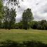  Land for sale in Exaltacion De La Cruz, Buenos Aires, Exaltacion De La Cruz