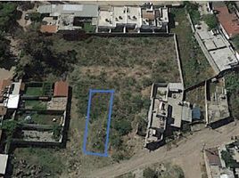 Terreno (Parcela) en venta en Irapuato, Guanajuato, Irapuato