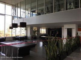 1 Schlafzimmer Appartement zu vermieten in Naucalpan De Juarez, Mexico, Naucalpan De Juarez, Mexico