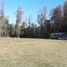  Terreno (Parcela) en venta en Chile, Villarrica, Cautín, Araucanía, Chile