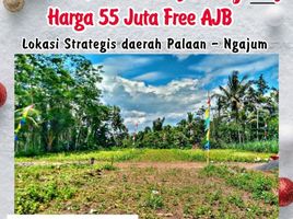  Land for sale in Malang Regency, East Jawa, Kepanjen, Malang Regency