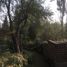  Land for sale in Chile, Santiago, Santiago, Santiago, Chile