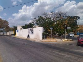 0 m² Office for rent in Yucatan, Merida, Yucatan
