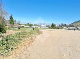  Land for sale in Chile, Requinao, Cachapoal, Libertador General Bernardo Ohiggins, Chile
