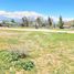  Land for sale in Chile, Requinao, Cachapoal, Libertador General Bernardo Ohiggins, Chile