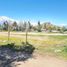  Land for sale in Chile, Requinao, Cachapoal, Libertador General Bernardo Ohiggins, Chile