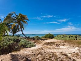 Terrain à vendre à Chicxulub Pueblo, Yucatan, Chicxulub Pueblo