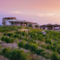  Land for sale in Parras, Coahuila, Parras, Coahuila