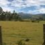  Land for sale in Tumbaco, Pichincha, Tumbaco, Quito