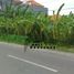  Terreno (Parcela) en venta en Canggu, Bali, Canggu, Badung, Bali, Indonesia