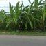  Terreno (Parcela) en venta en Canggu, Bali, Canggu, Badung, Bali, Indonesia