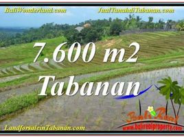  Land for sale in Selemadeg, Tabanan, Selemadeg