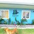 2 Bedroom House for sale in Bugaba, Chiriqui, Cerro Punta, Bugaba