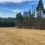  Land for sale in Araucania, Vilcun, Cautin, Araucania