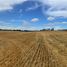  Land for sale in Araucania, Vilcun, Cautin, Araucania