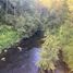  Land for sale in Araucania, Vilcun, Cautin, Araucania