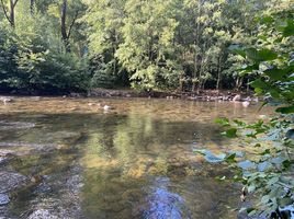  Land for sale in Araucania, Vilcun, Cautin, Araucania